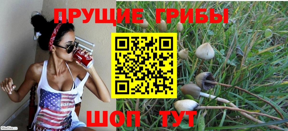 Кисловодск  закладка  Галлюциногенные грибы Psilocybine cubensis  Вход с VPN  Псилоцибиновые грибы ЛСД 