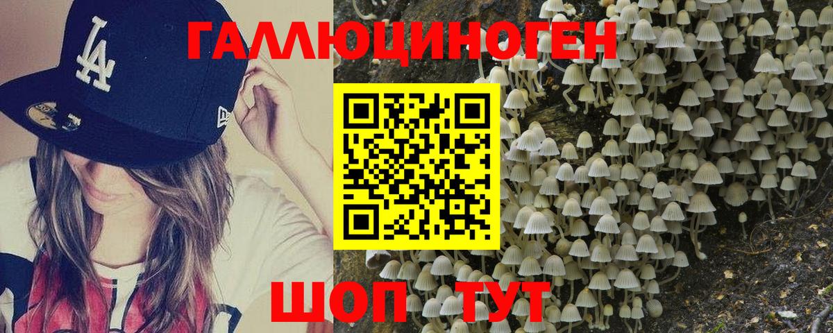 Псилоцибиновые грибы MAGIC MUSHROOMS Кисловодск