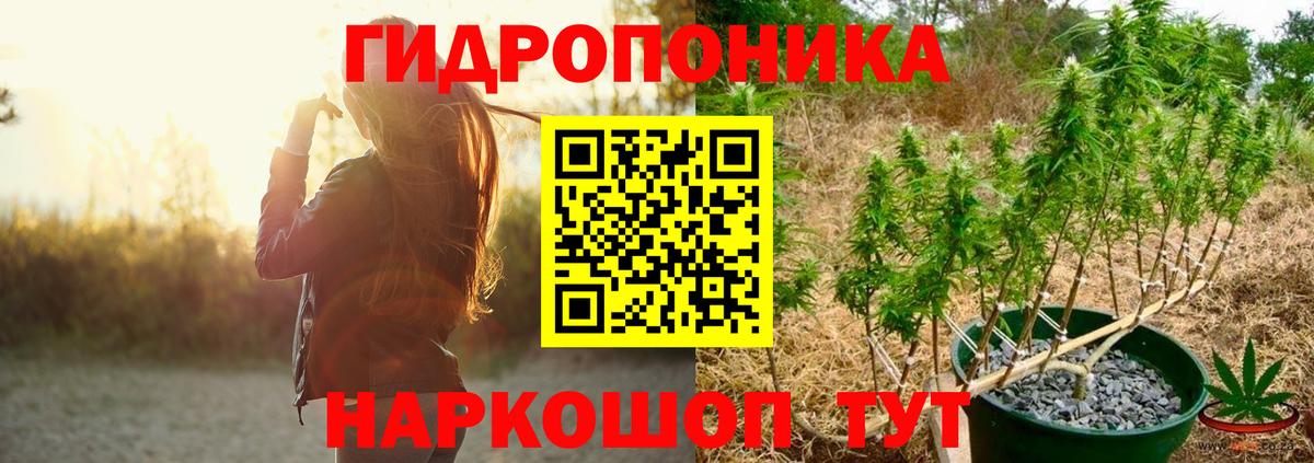 МАРИХУАНА индика  Шишки марихуана VHQ  Вход с VPN  Шишки марихуана SATIVA & INDICA  Кисловодск  Бошки марихуана сатива 